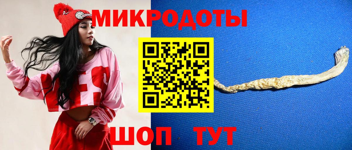 Псилоцибиновые грибы Psilocybine cubensis Карачаевск
